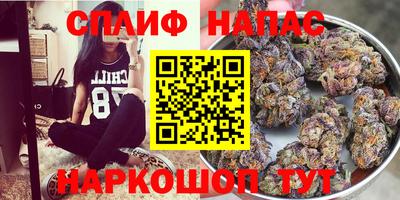 дмт Волгодонск