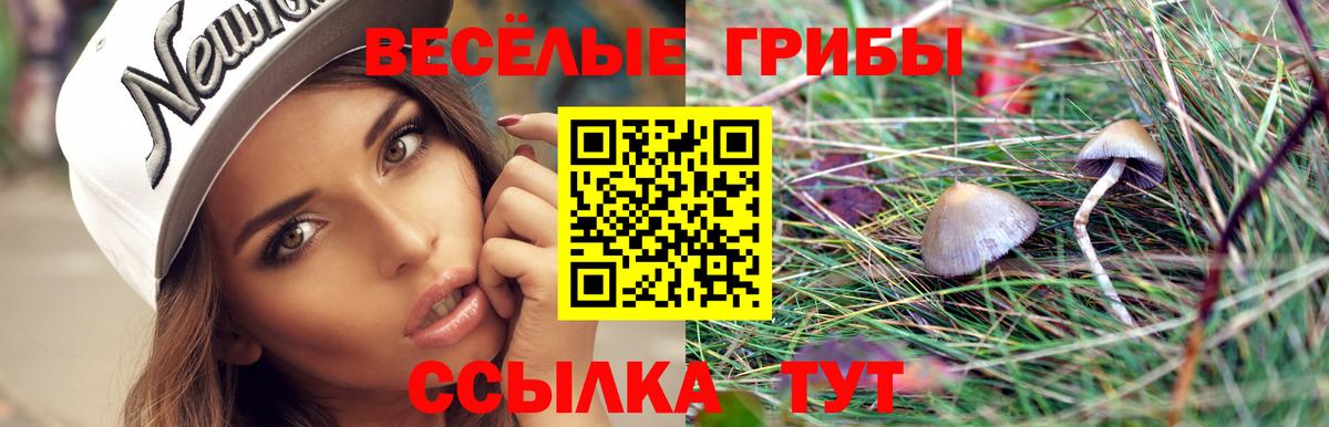 Маркс  Галлюциногенные грибы Psilocybe  Вход с VPN 